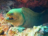 Curacao 04-12 545